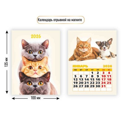 Календарь Отрывной на магните котики 2026 г 100х135 мм