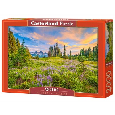  C-200863 Утренние цветы, 2000 деталей
