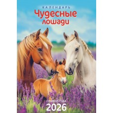 Календарь  Ригель настенный Символ года. Чудесные лошади 2026 г 340х480 мм
