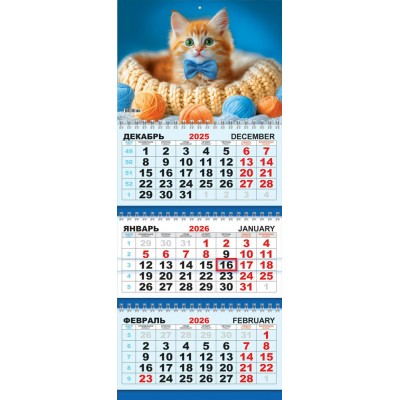 Календарь Квартальный Кошки. Солнечный джентльмен 2026 г 297х730 мм