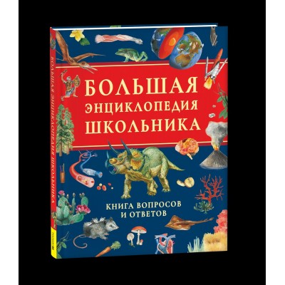  Большая энциклопедия школьника. Книга вопросов и ответов