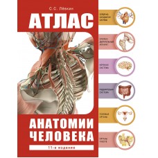 Лёвкин С.С. Атлас анатомии человека