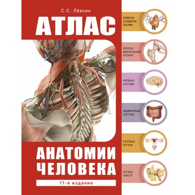 Лёвкин С.С. Атлас анатомии человека