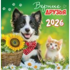 Календарь На скрепке перекидной настенный Кот и пёс. Верные друзья 2026 г 230х235 мм