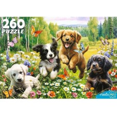  260 элементов. ВЕСЕЛЫЕ ЩЕНКИ (Арт.Ф260-3884)