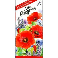 Конверт для денег Волшебного дня рождения! 82х171 мм