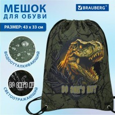 Мешок для обуви   PREMIUM, карман,подкладка, светоотражайка,43х33 см, Dino attack, Brauberg