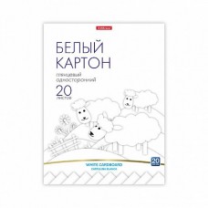 Картон белый 20л. А4, склейка, мелованный, глянцевый, Erich Krause