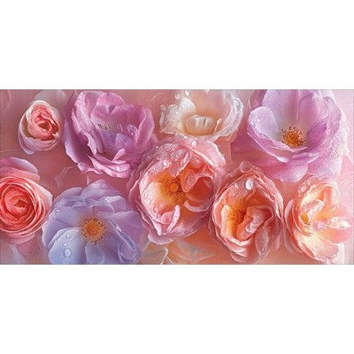 Конверт для денег  без надписи (цветы) 84х168 мм