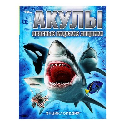  А4. Акулы. Опасные морские хищники