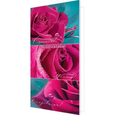 Открытка Поздравляем! ( евро без текста ) 97х204 мм