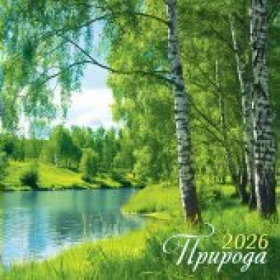 Календарь  На скрепке перекидной настенный Природа. Берёзки 2026 г 290х290 мм