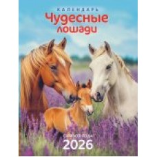 Календарь Магнитный отрывной Символ года. Чудесные лошади 2026 г 94х128 мм