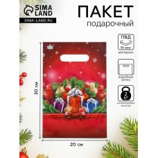 Пакет полиэтиленовый с вырубной ручкой НГ 20х30 см, 30 мкм.