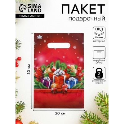 Пакет полиэтиленовый с вырубной ручкой НГ 20х30 см, 30 мкм.