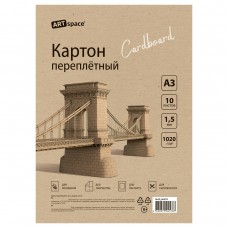 Картон переплетный 10л.  А3, толщина 1,5мм, в пакете ArtSpace