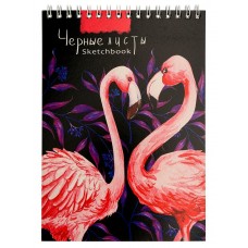 Скетчбук А5 спираль 20л. КОНТРАСТНЫЕ ФЛАМИНГО, обл.мелов.картон,черный блок, жестк.подл Проф-Пресс
