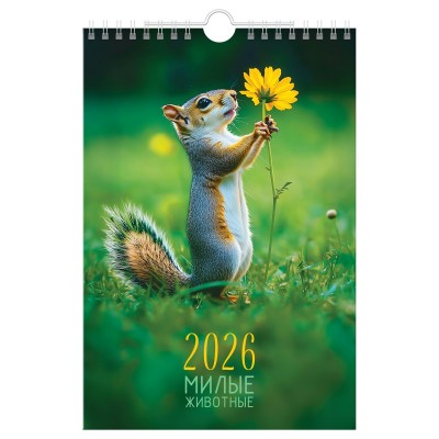 Календарь настенный перекидной на гребне, 170*250 мм 6л. BG 