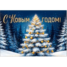 Открытка Бирка 