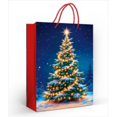 Пакет Бумажный 