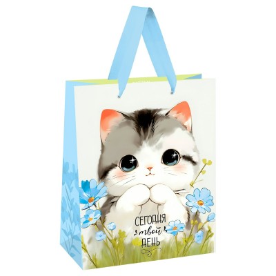 Пакет Бумажный 