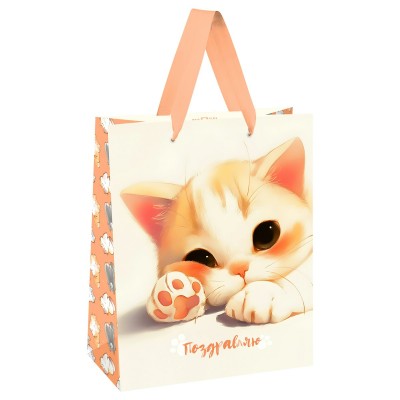 Пакет Бумажный 