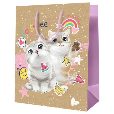 Пакет Бумажный крафт 