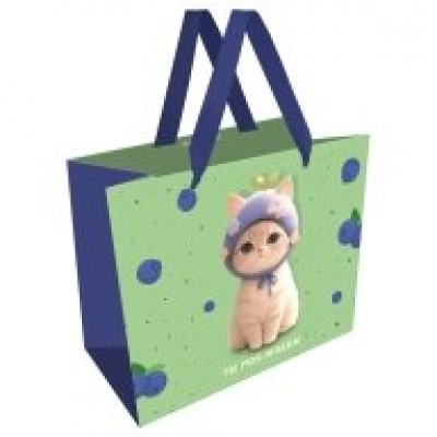 Пакет Бумажный 