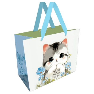 Пакет Бумажный 