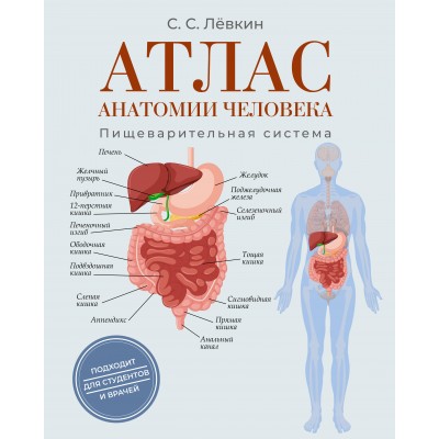 Лёвкин С.С. Атлас анатомии человека. Пищеварительная система