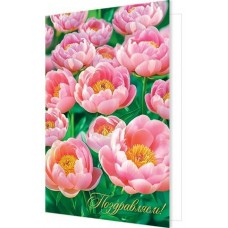 Открытка  Поздравляем! 189х290 мм