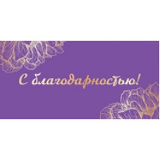 Конверт для денег  С благодарностью! 82х170 мм