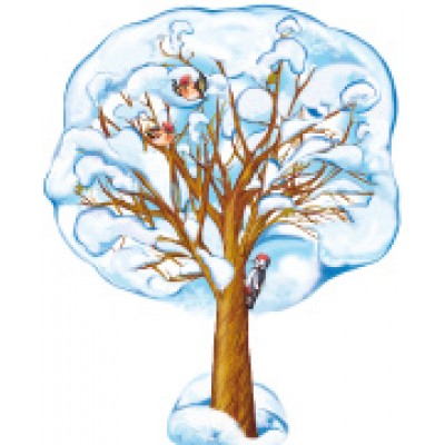 Плакат  двухсторонний Клен зимний 470х550 мм