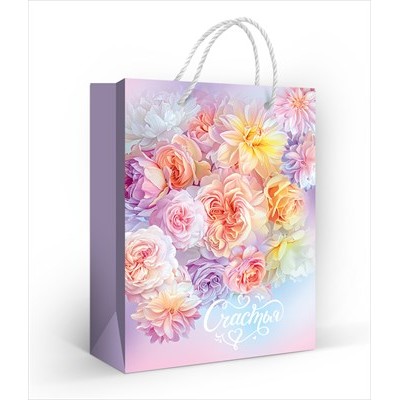 Пакет Бумажный 