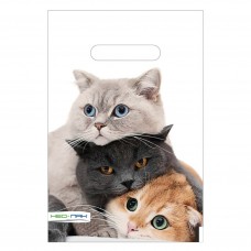 Пакет полиэтилен 