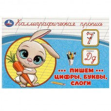  Пишем цифры, буквы, слоги. Каллиграфическая пропись