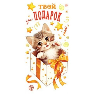Конверт для денег  Твой подарок 85х165 мм