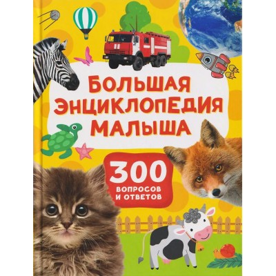  Большая энциклопедия малыша. 300 вопросов и ответов