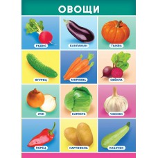 Плакат-мини Овощи 210х290 мм