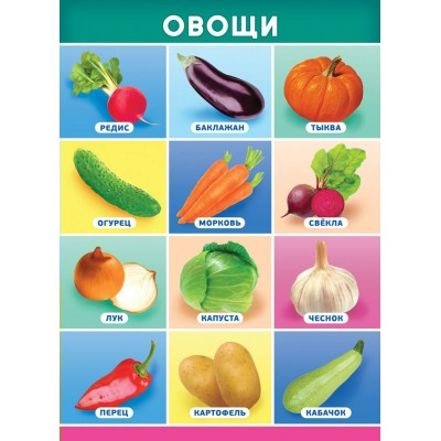 Плакат-мини Овощи 210х290 мм