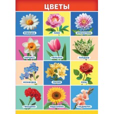 Плакат-мини Цветы 210х290 мм