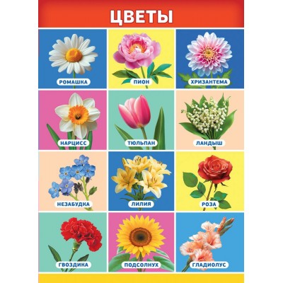 Плакат-мини Цветы 210х290 мм
