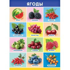 Плакат-мини Ягоды 210х290 мм