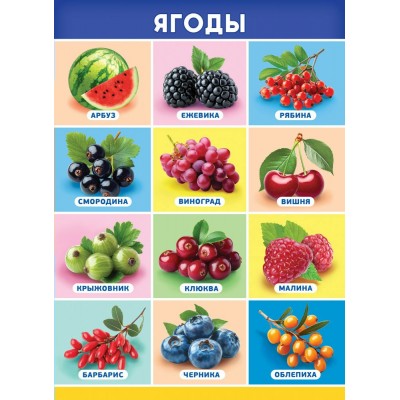 Плакат-мини Ягоды 210х290 мм