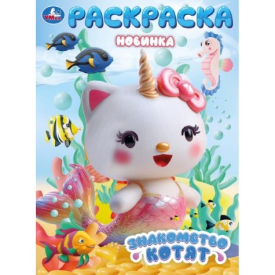  А4. Знакомство котят