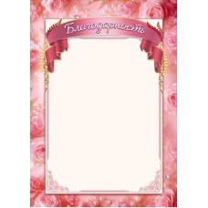 Благодарность Без символики (для принтера) 210х295 мм