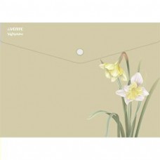 Папка -конверт на кнопке Папка-конверт на кнопке 