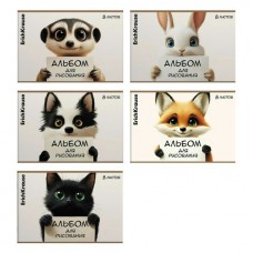 Альбом для рисования 8л скреп.  