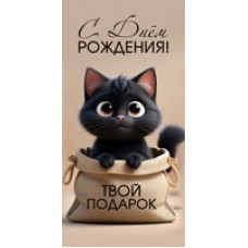 Конверт для денег  С Днём рождения! Твой подарок 82х170 мм