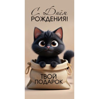 Конверт для денег  С Днём рождения! Твой подарок 82х170 мм